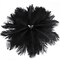 Natural Black Ostrich Feathers 12–14" (50 Pack) for Wedding & Party Décor